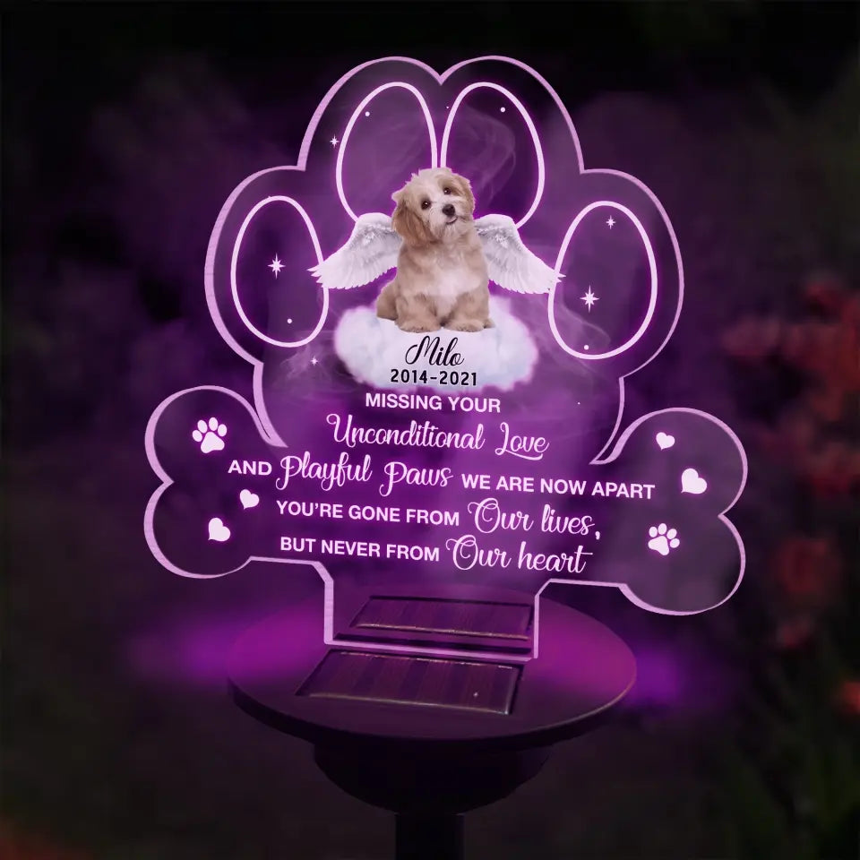 Missing Your Unconditional Love - Personalized Solar Light, Memorial Gift, Pet Loss Gift