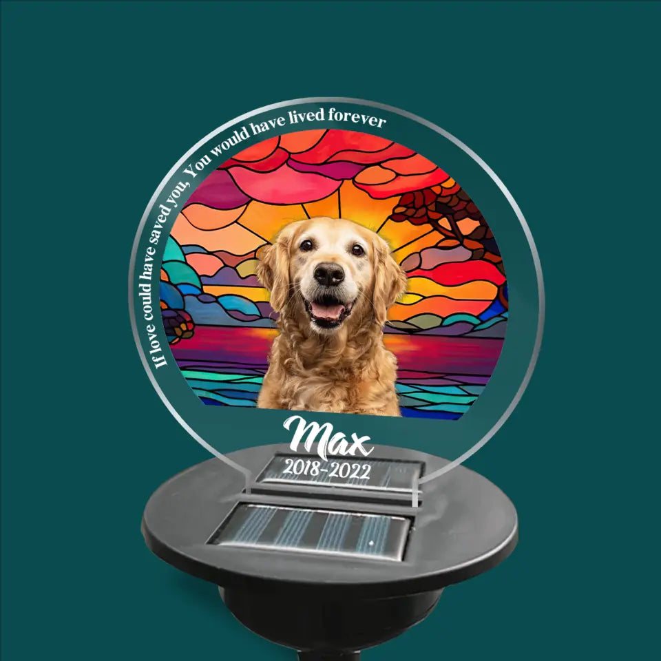 If Love Could Have Saved You - Personalized Solar Light, Pet Loss Gift
