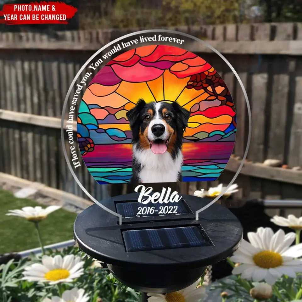 If Love Could Have Saved You - Personalized Solar Light, Pet Loss Gift