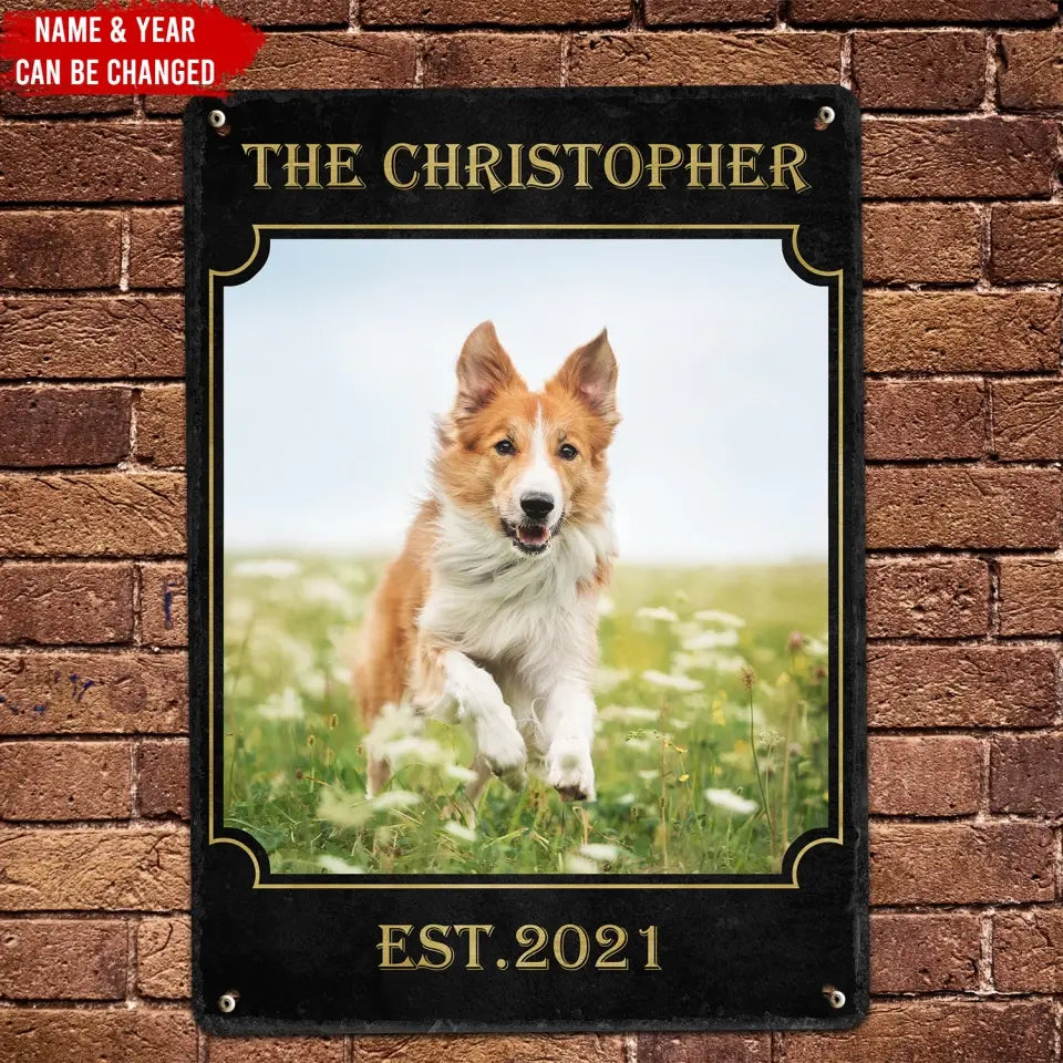 The Dog & Bengal - Personalized Metal Sign, Gift For Pet Lover