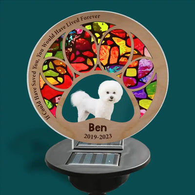 If Could Have Saved You, You Would Have Lived Forever - Personalized Solar Light