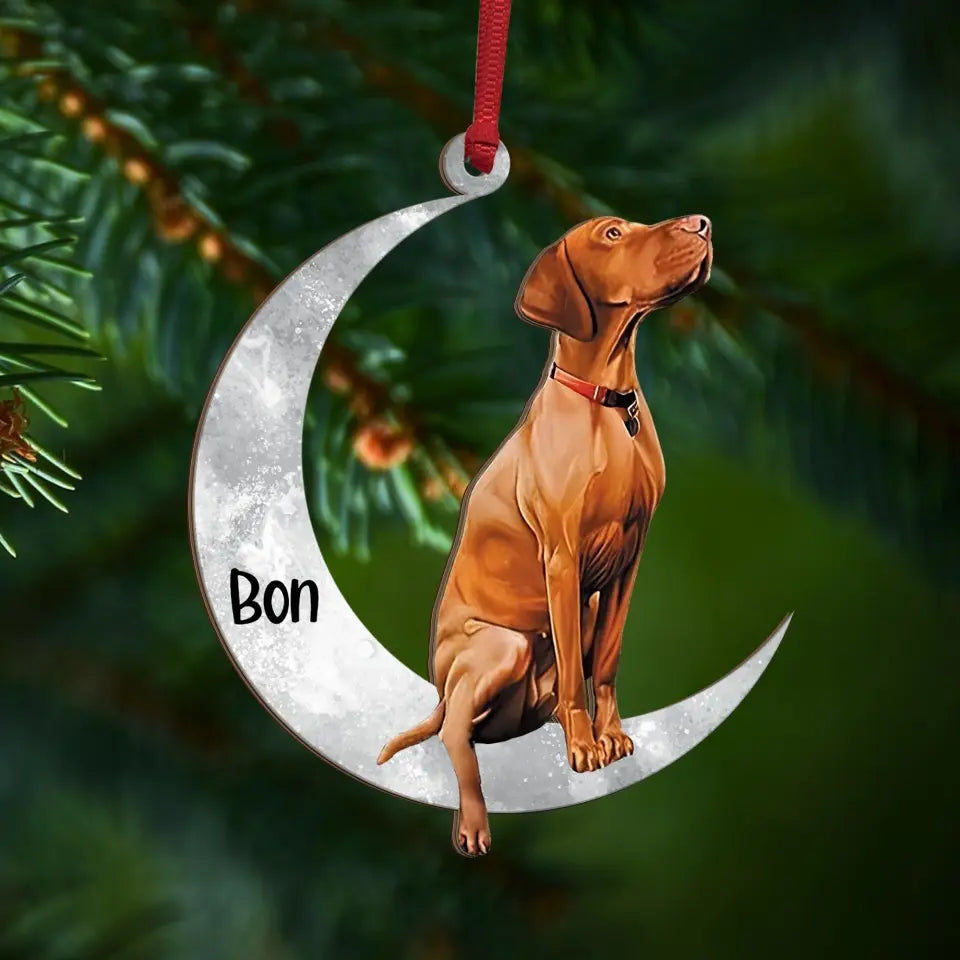 Pet Sit On The Moon - Personalized Wooden Ornament, Christmas Gift