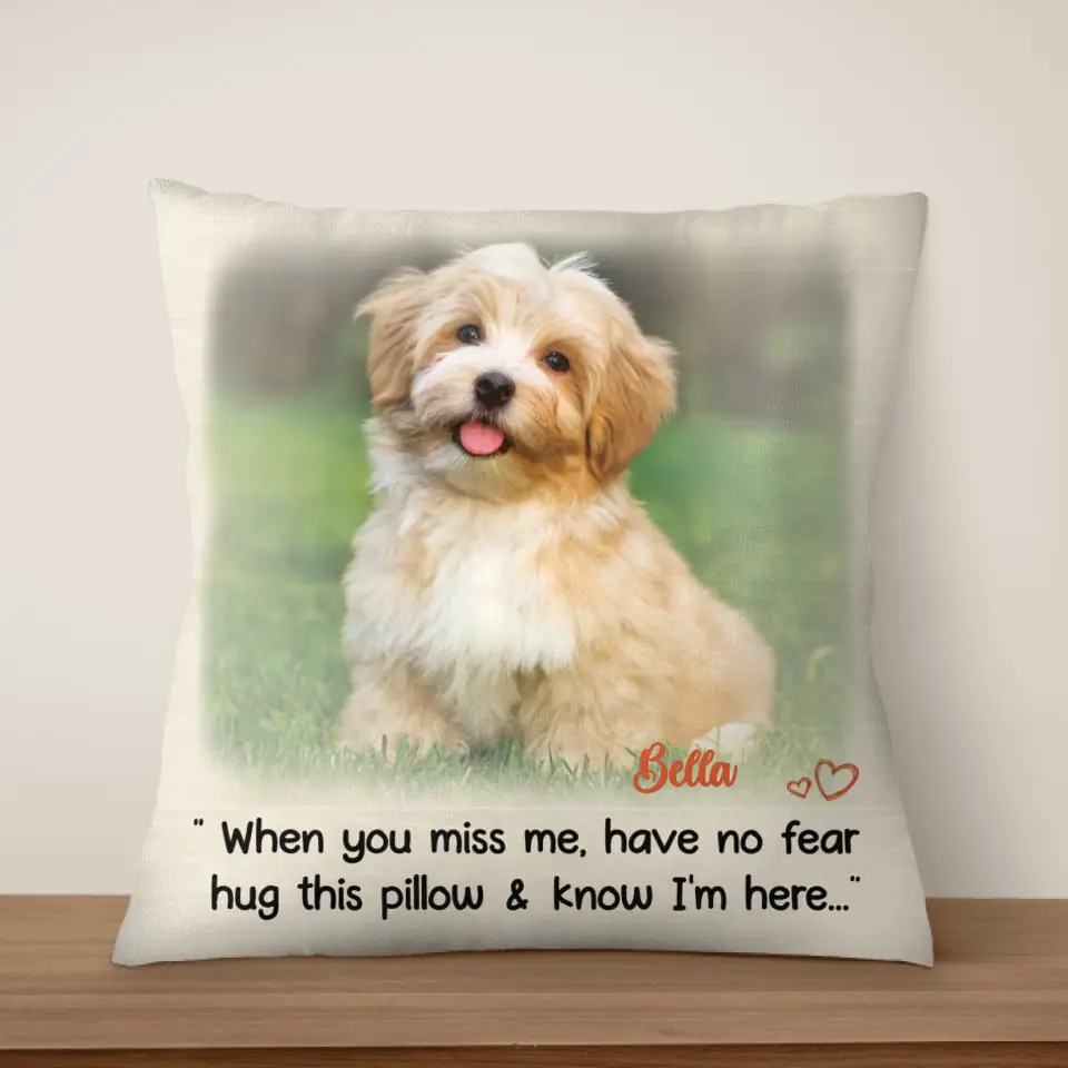 When You Miss Me - Personalized Pillow, Pet Loss Gift