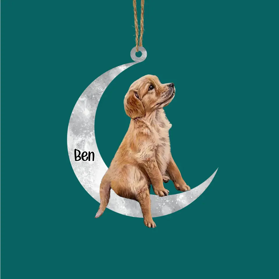 Pet Sit On The Moon - Personalized Wooden Ornament, Christmas Gift