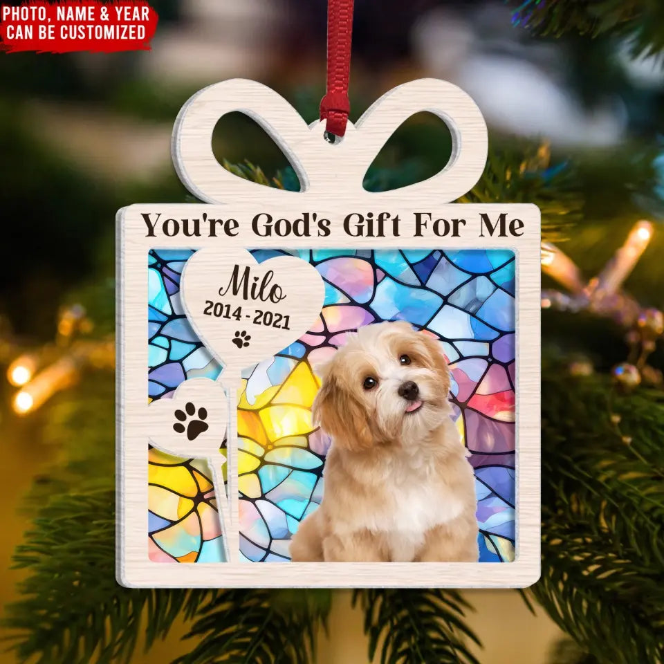 You're God's Gift For Me - Personalized Suncatcher Ornament
