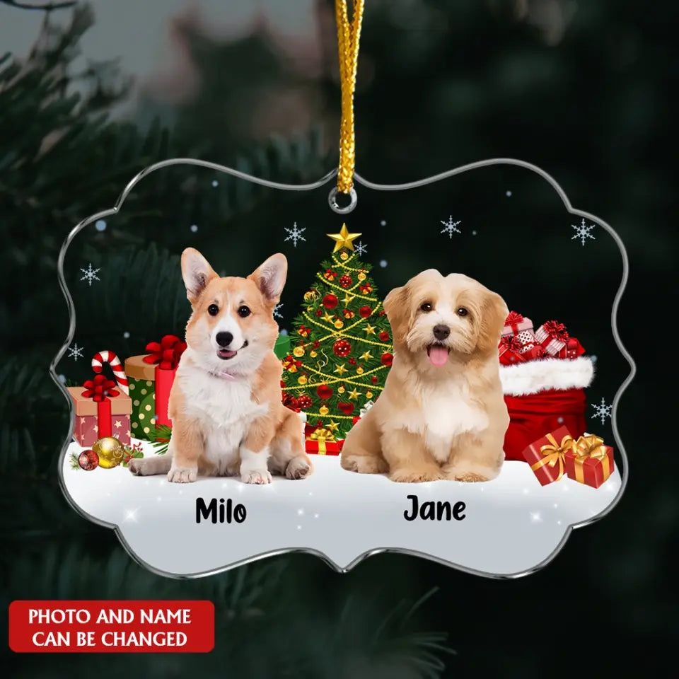 Dear Santa Define Naughty - Personalized Acrylic Ornament, Gift For Dog Lover