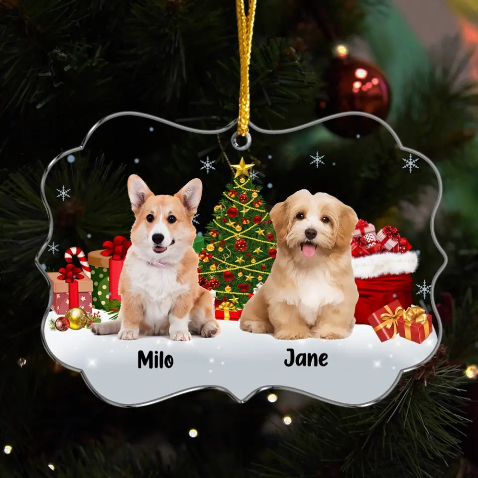 Dear Santa Define Naughty - Personalized Acrylic Ornament, Gift For Dog Lover