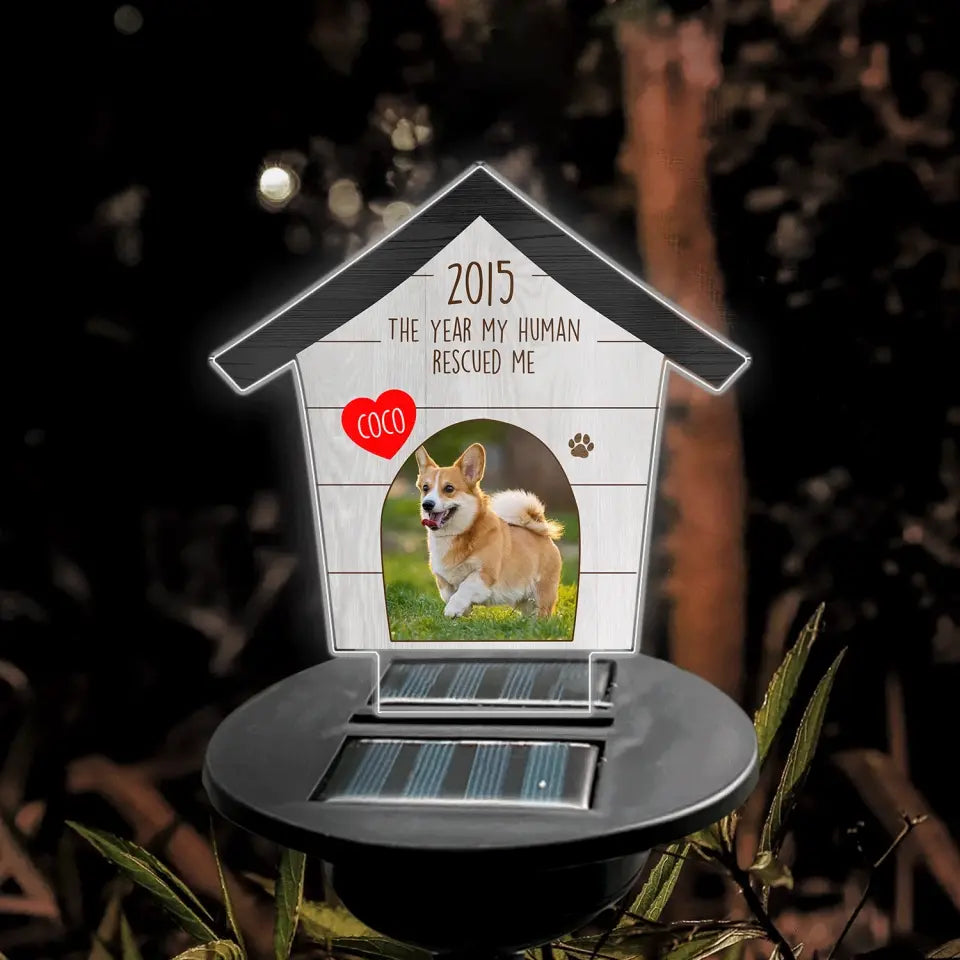 The Year My Human Rescued Me - Personalized Solar Light, Pet Loss Gift