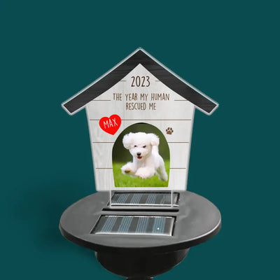 The Year My Human Rescued Me - Personalized Solar Light, Pet Loss Gift