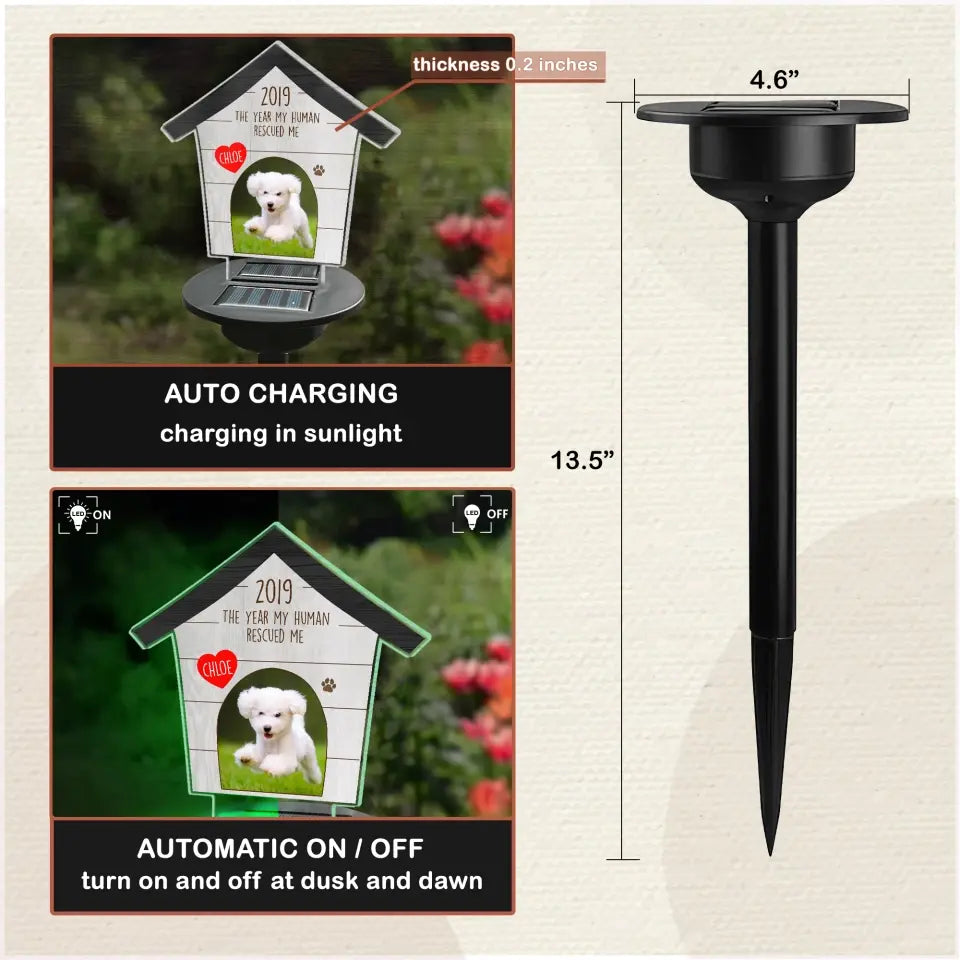 The Year My Human Rescued Me - Personalized Solar Light, Pet Loss Gift