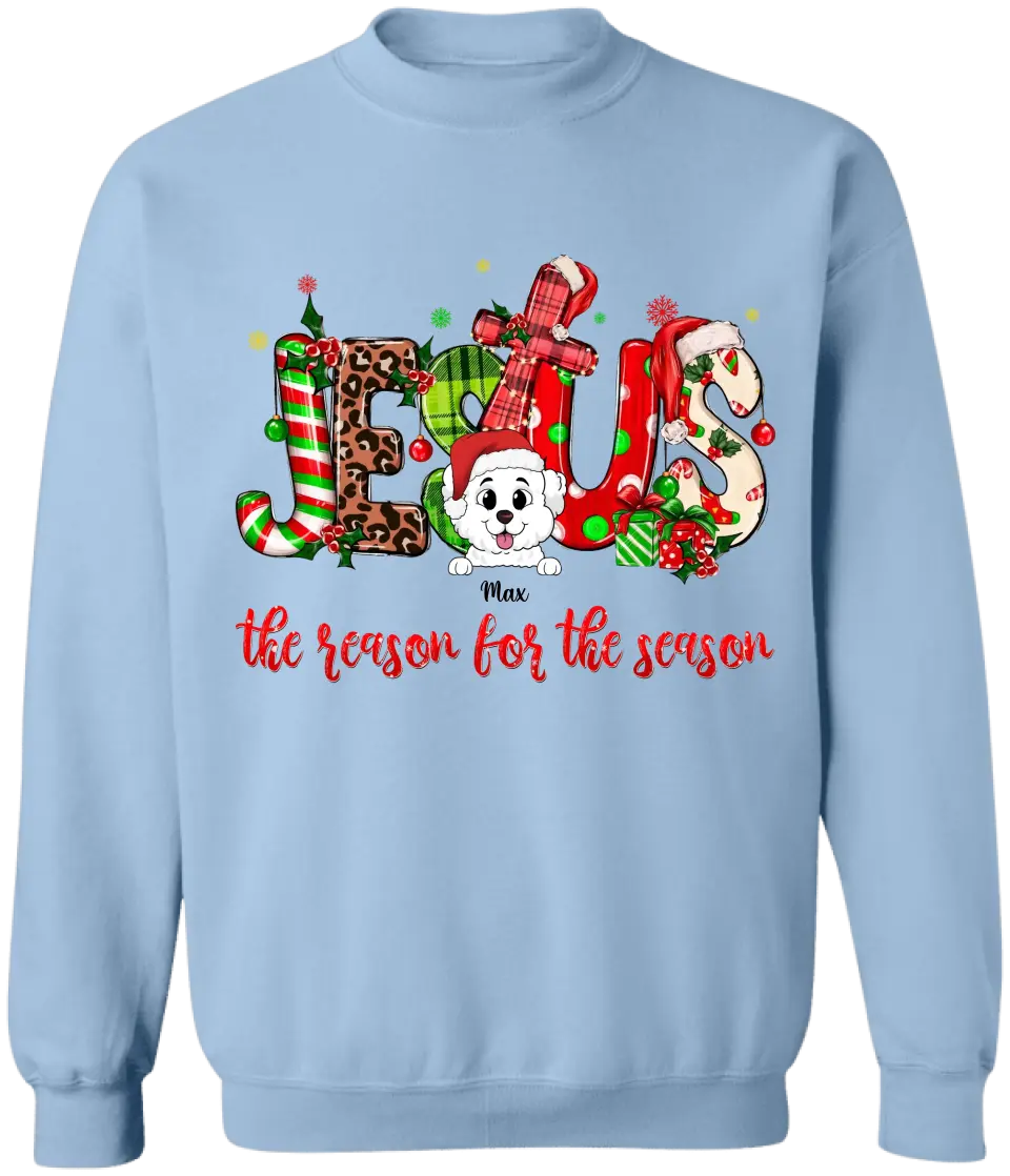 Jesus The Reason For The Season - Personalized T-shirt, Christmas Gift For Family And Friends - TS1024