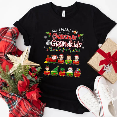 All I Want For Christmas Is My Grandkids - Personalized T-shirt, Gift For Grandma - TS1035