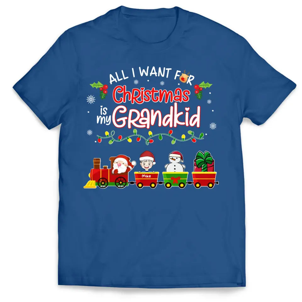 All I Want For Christmas Is My Grandkids - Personalized T-shirt, Gift For Grandma - TS1035