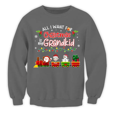 All I Want For Christmas Is My Grandkids - Personalized T-shirt, Gift For Grandma - TS1035