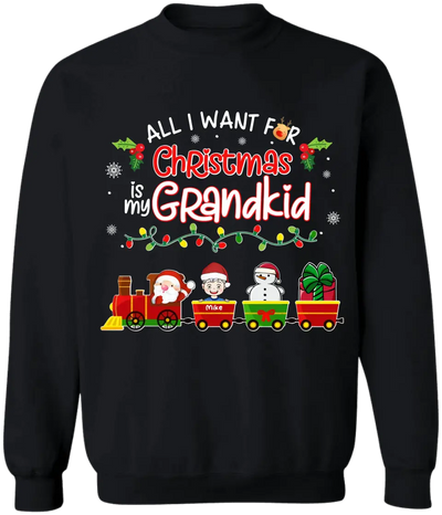 All I Want For Christmas Is My Grandkids - Personalized T-shirt, Gift For Grandma - TS1035
