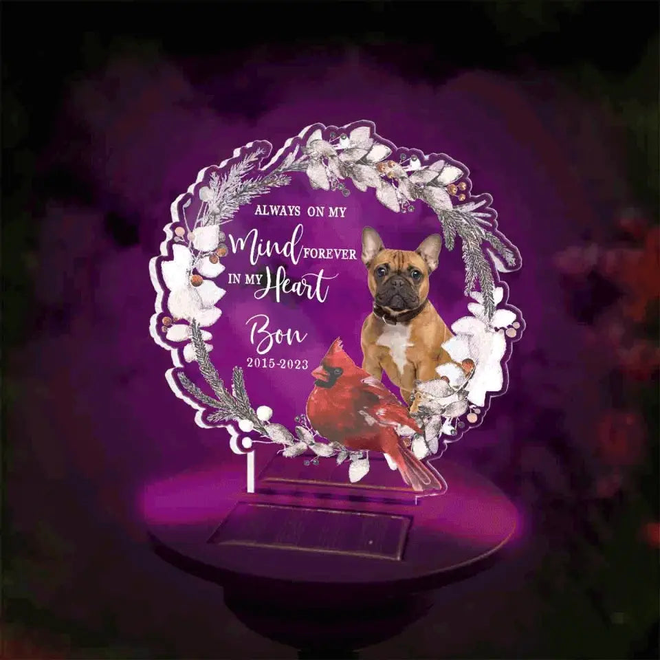 Always On My Mind - Personalized Solar Light, Memorial Gift, Pet Loss Gift - SL125