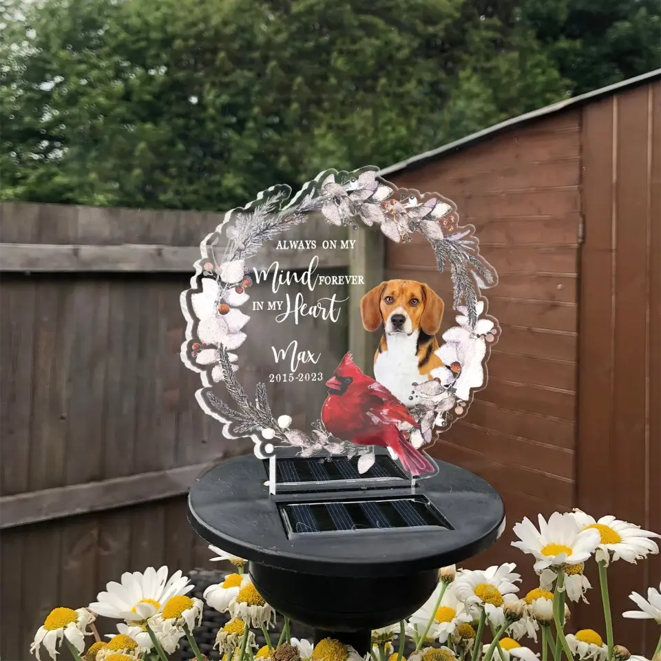 Always On My Mind - Personalized Solar Light, Memorial Gift, Pet Loss Gift - SL125