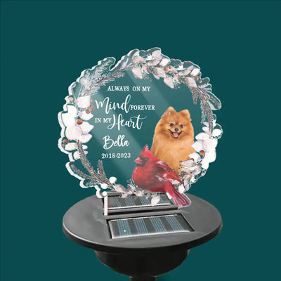 Always On My Mind - Personalized Solar Light, Memorial Gift, Pet Loss Gift - SL125