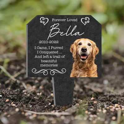 Forever Loved I Came, I Purred I Conquered And Left A Trail Of Beautiful Memories - Personalized Plaque Stake - PS65