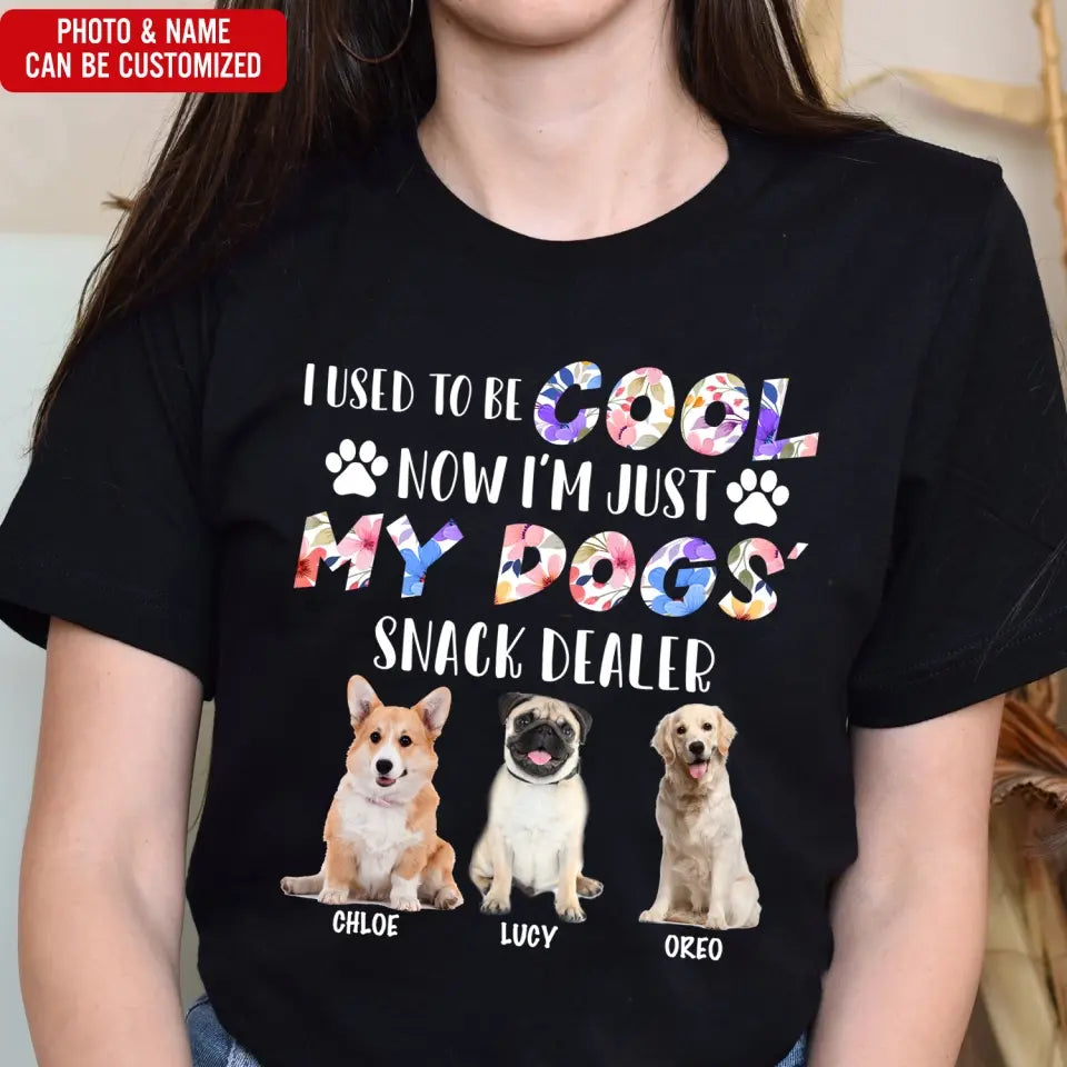 I Used To Be Cool My Dogs Snack Dealer - Personalized T-Shirt, Gift For Dog Lover - TS1068