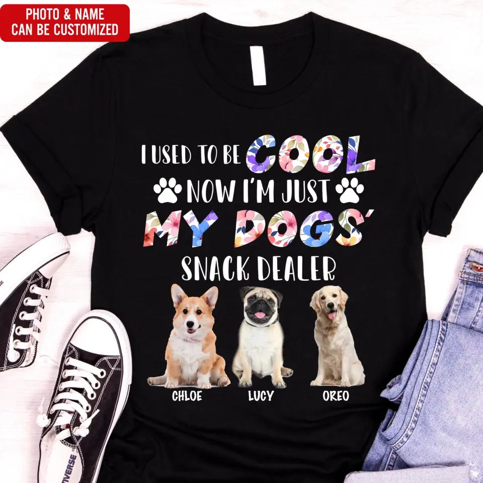 I Used To Be Cool My Dogs Snack Dealer - Personalized T-Shirt, Gift For Dog Lover - TS1068