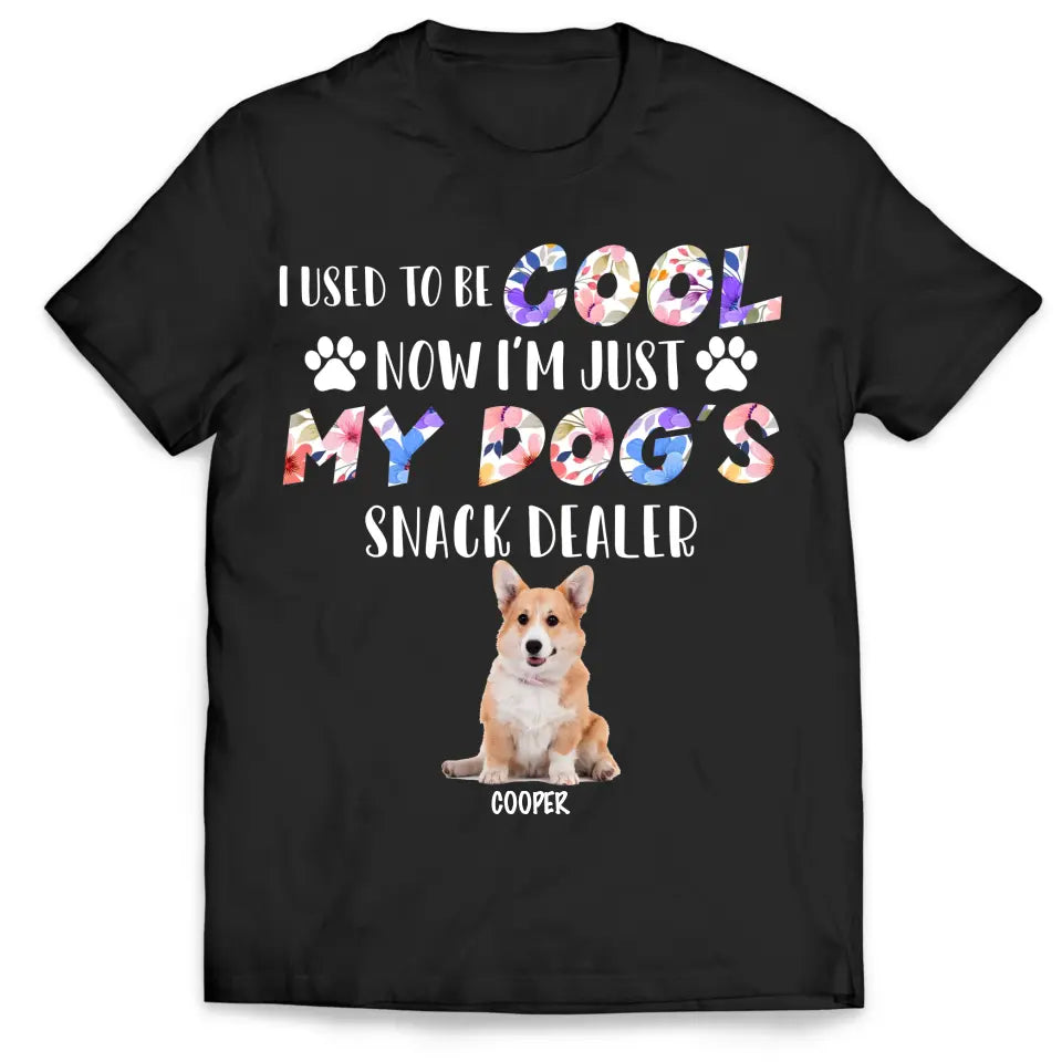I Used To Be Cool My Dogs Snack Dealer - Personalized T-Shirt, Gift For Dog Lover - TS1068
