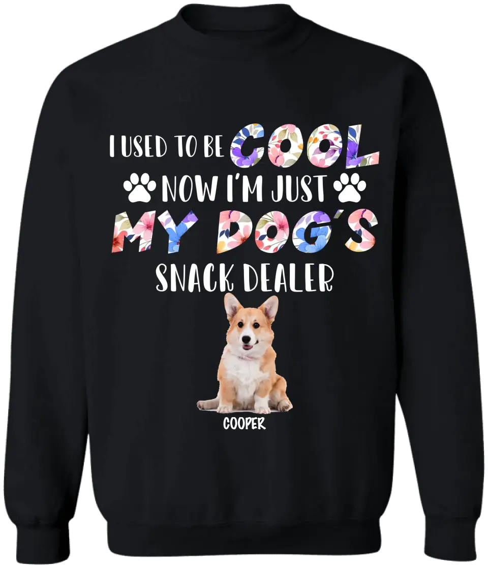 I Used To Be Cool My Dogs Snack Dealer - Personalized T-Shirt, Gift For Dog Lover - TS1068