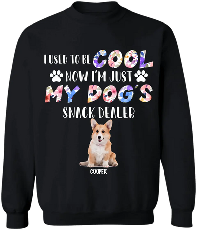 I Used To Be Cool My Dogs Snack Dealer - Personalized T-Shirt, Gift For Dog Lover - TS1068