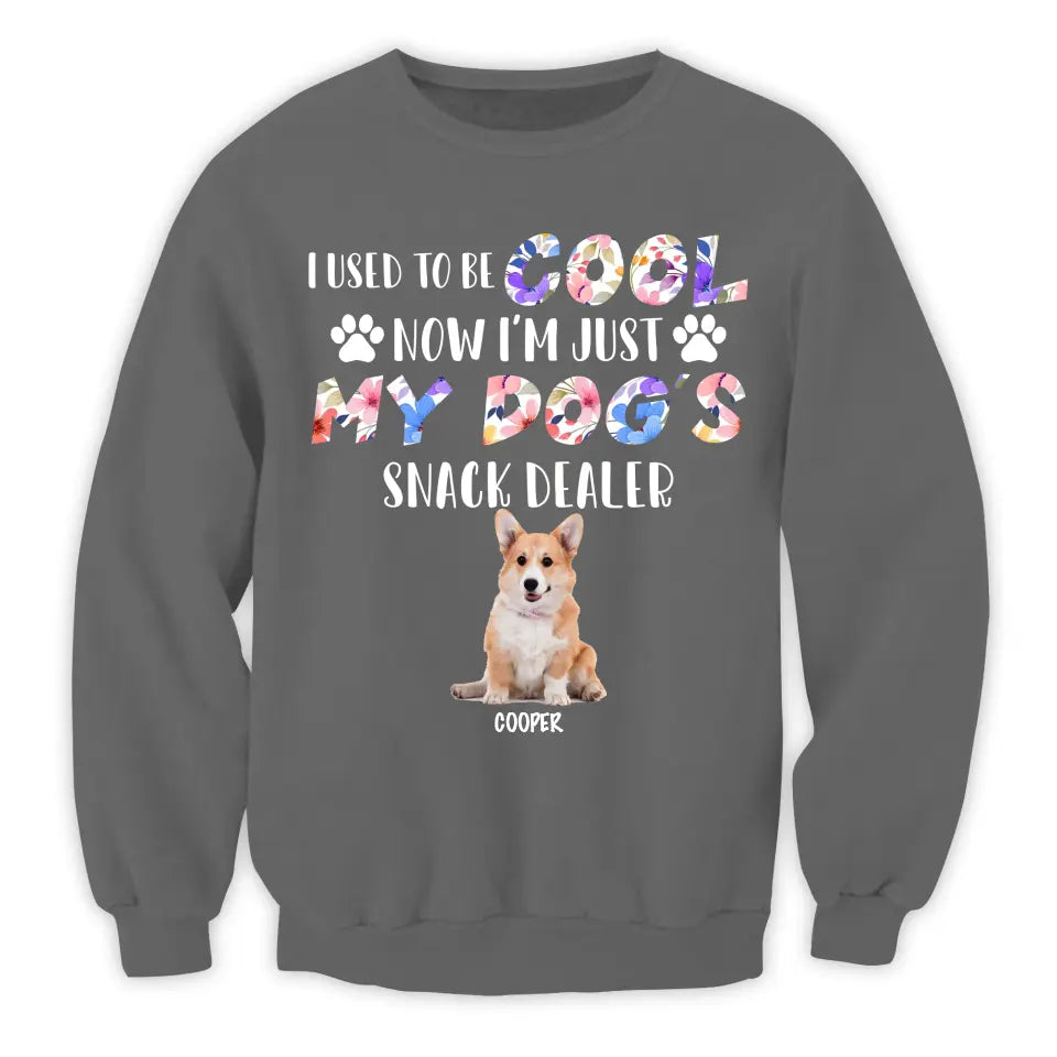 I Used To Be Cool My Dogs Snack Dealer - Personalized T-Shirt, Gift For Dog Lover - TS1068
