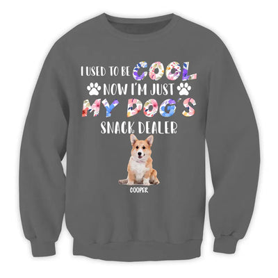 I Used To Be Cool My Dogs Snack Dealer - Personalized T-Shirt, Gift For Dog Lover - TS1068