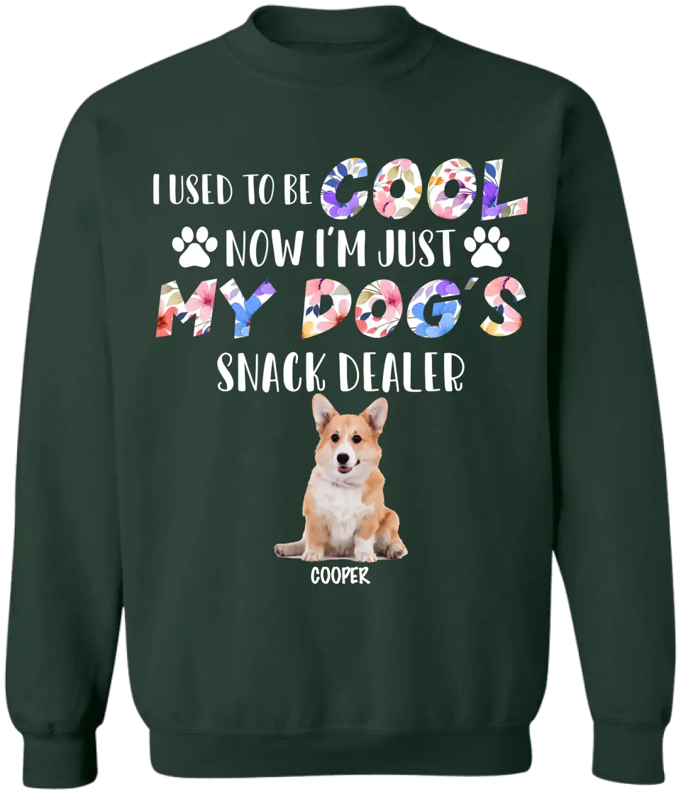 I Used To Be Cool My Dogs Snack Dealer - Personalized T-Shirt, Gift For Dog Lover - TS1068