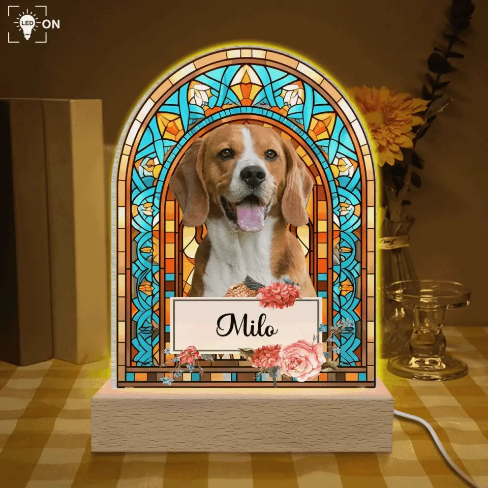 Custom Dog Memorial Photo - Personalized Acrylic Night Light, Pet Loss Gift - L114