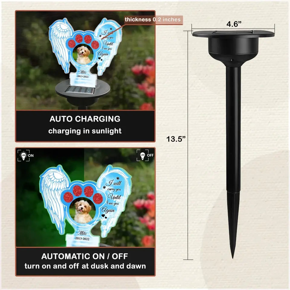 I Will Carry You Until I See You Again - Personalized Solar Light, Pet Loss Gift - SL149