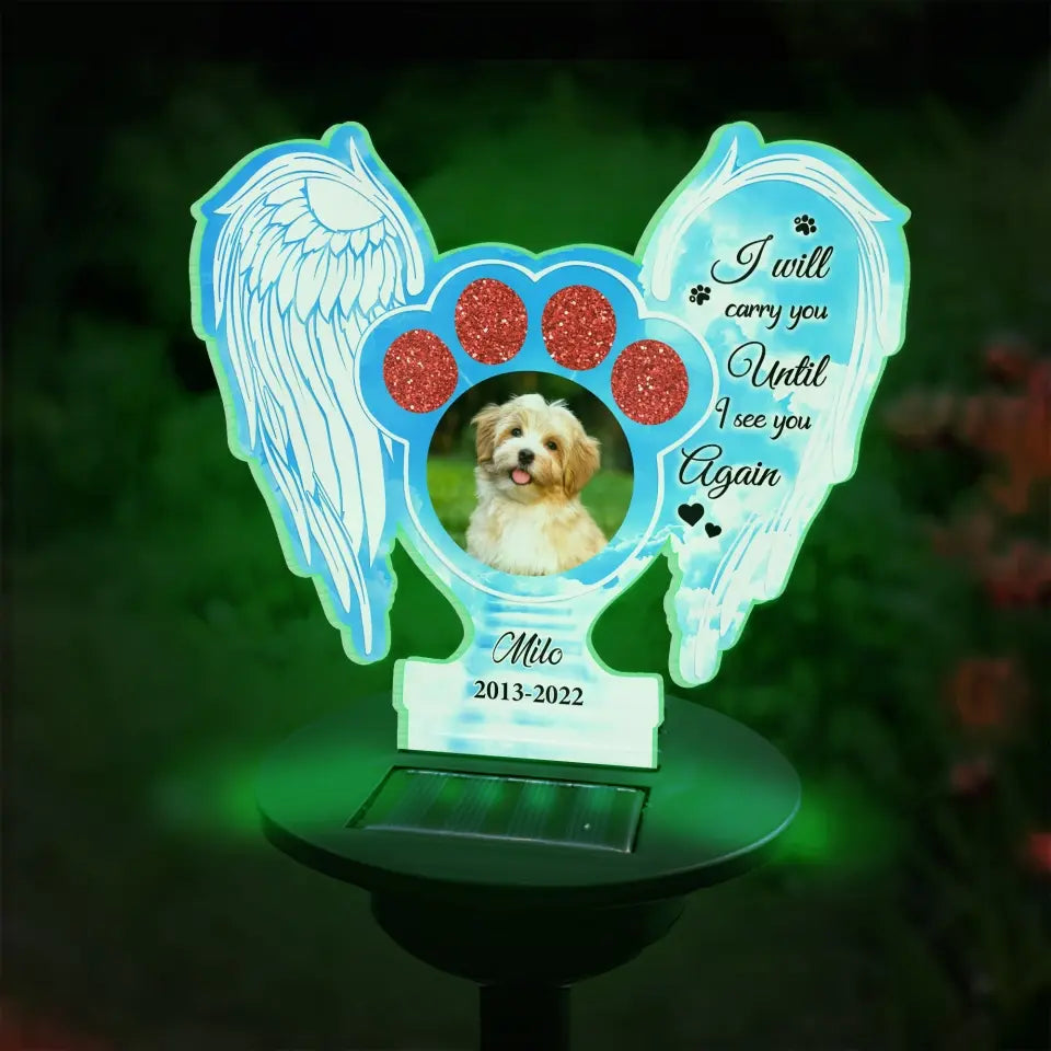 I Will Carry You Until I See You Again - Personalized Solar Light, Pet Loss Gift - SL149