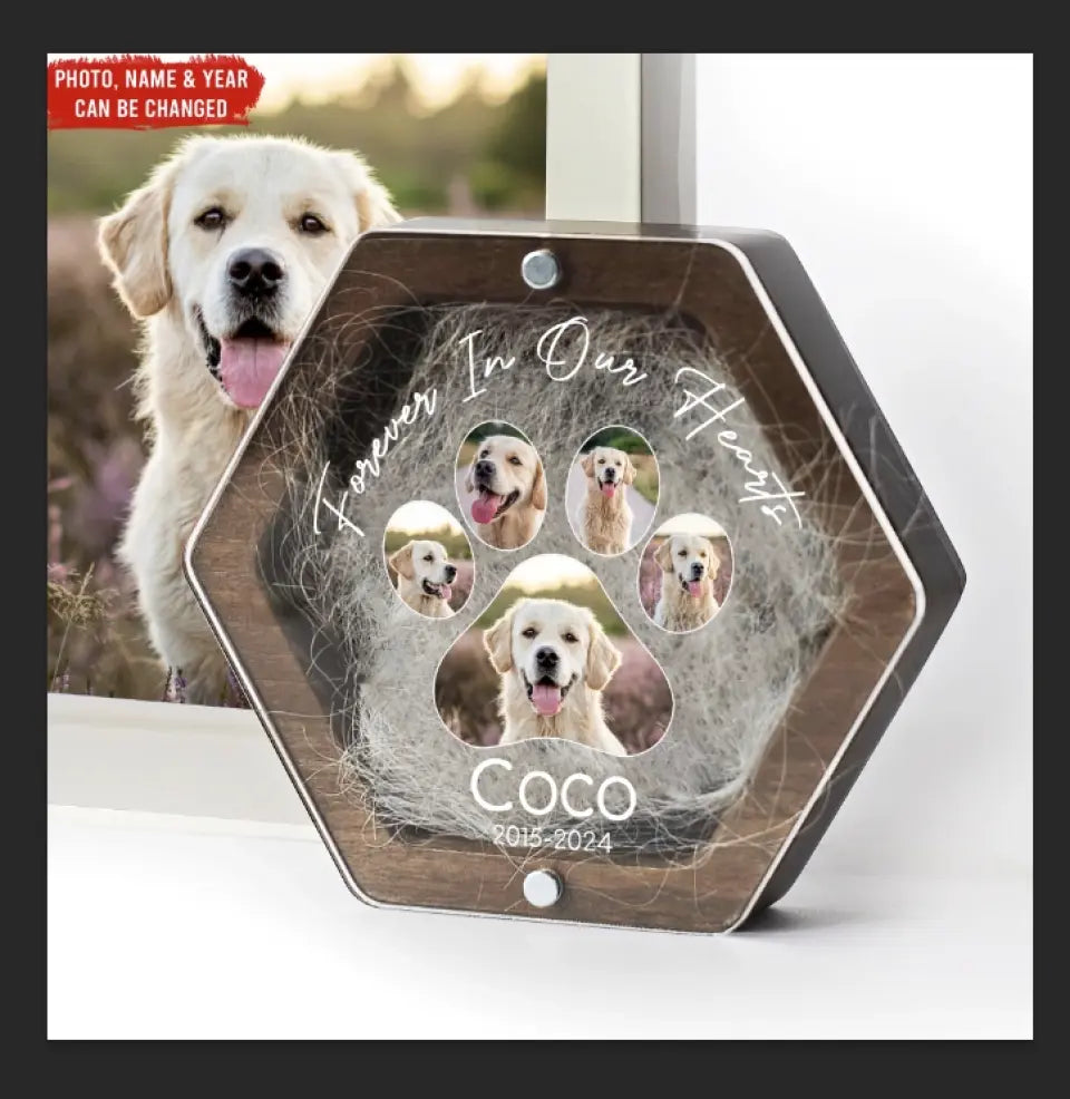 Pet Memorial Gift, Forever In Our Hearts - Personalized Memorial Box, Pet Hair Keepsake - MB04