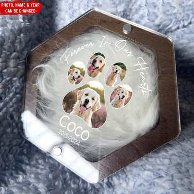 Pet Memorial Gift, Forever In Our Hearts - Personalized Memorial Box, Pet Hair Keepsake - MB04