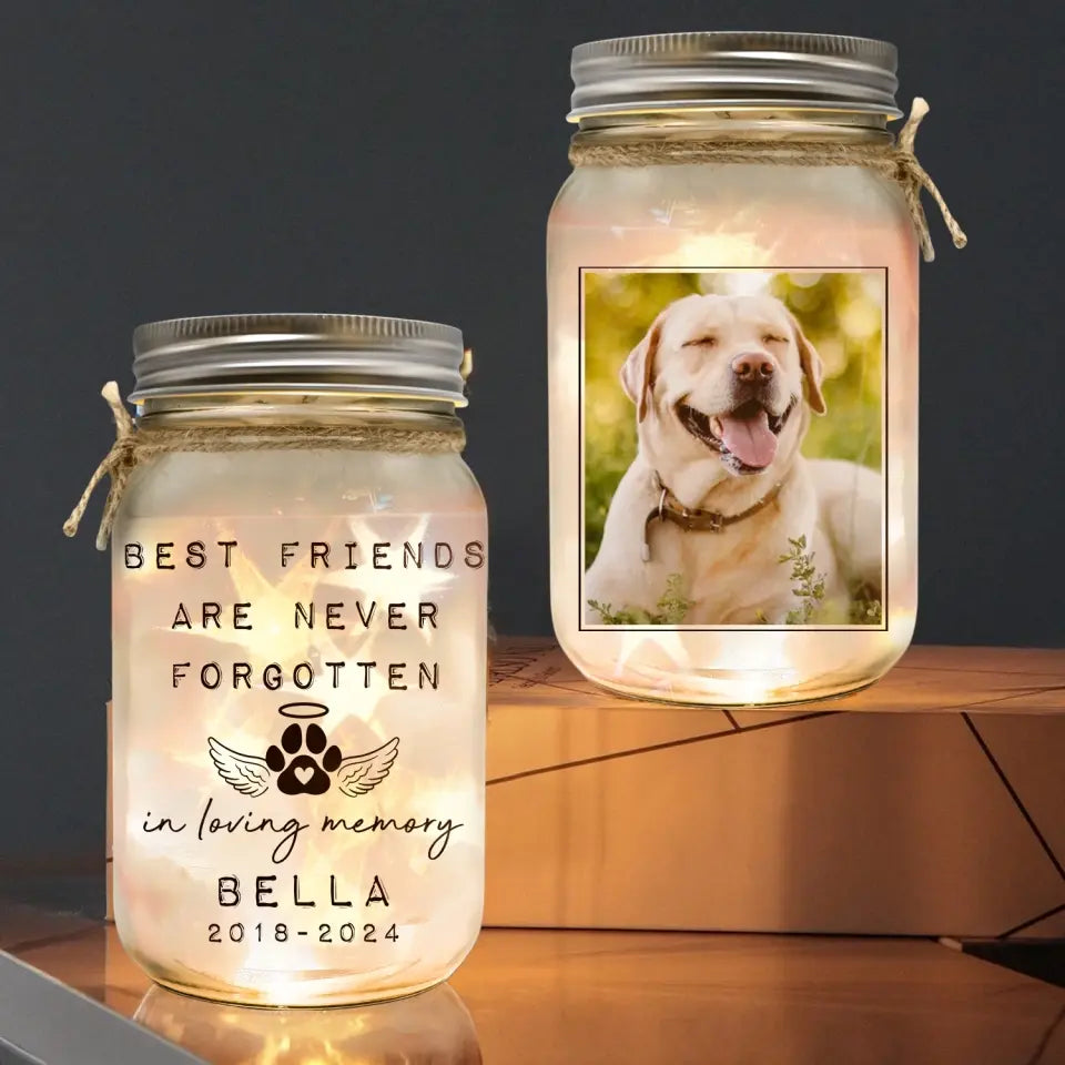 Best Friends Are Never Forgotten - Personalized Mason Jar Light, Unique Gift For Pet Loss - MJL34