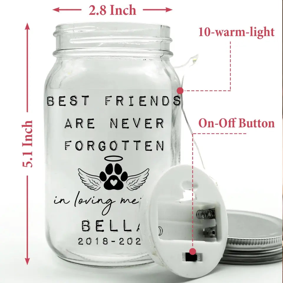 Best Friends Are Never Forgotten - Personalized Mason Jar Light, Unique Gift For Pet Loss - MJL34