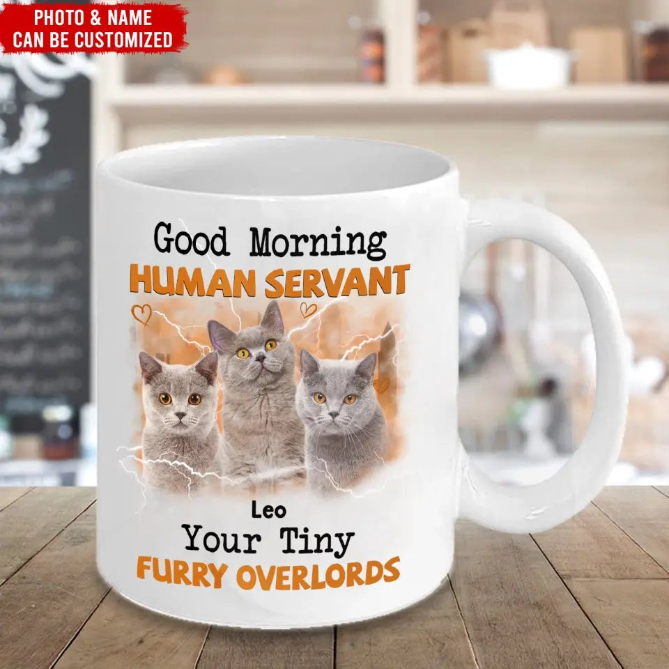 Good Morning Human Servant Your Tiny Furry Overlords - Personalized Mug, Gift For Cat Lover - M117