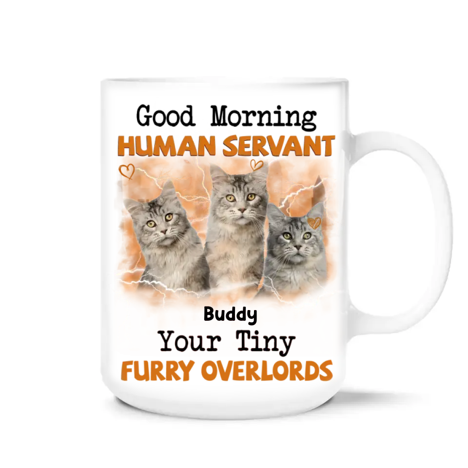 Good Morning Human Servant Your Tiny Furry Overlords - Personalized Mug, Gift For Cat Lover - M117