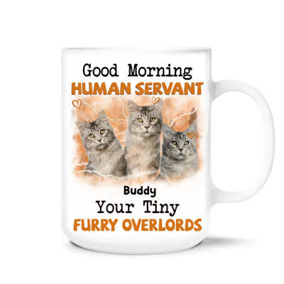 Good Morning Human Servant Your Tiny Furry Overlords - Personalized Mug, Gift For Cat Lover - M117