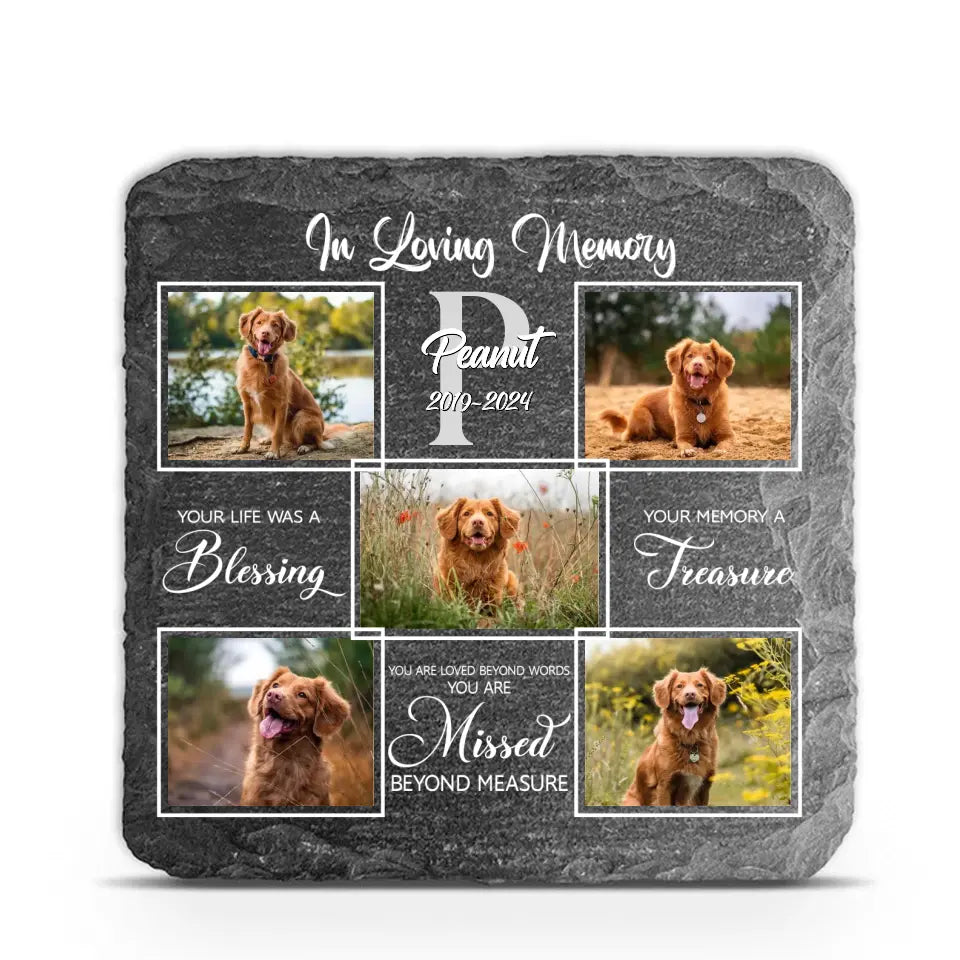 You Are My Favorite Hello And My Hardest Goodbye - Personalized Memorial Stone, Gift For Loss Of Pet - CF-MS106