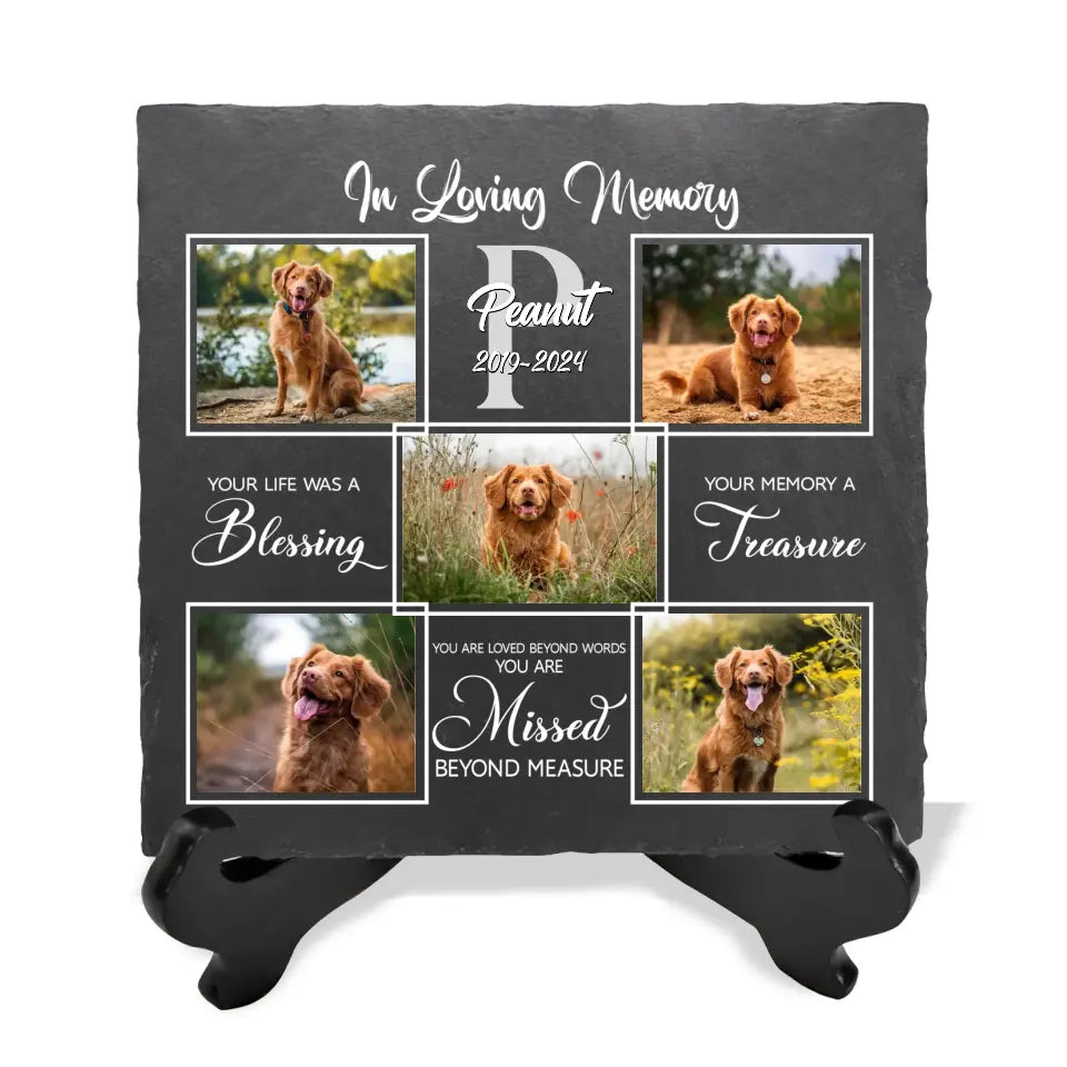 You Are My Favorite Hello And My Hardest Goodbye - Personalized Memorial Stone, Gift For Loss Of Pet - CF-MS106