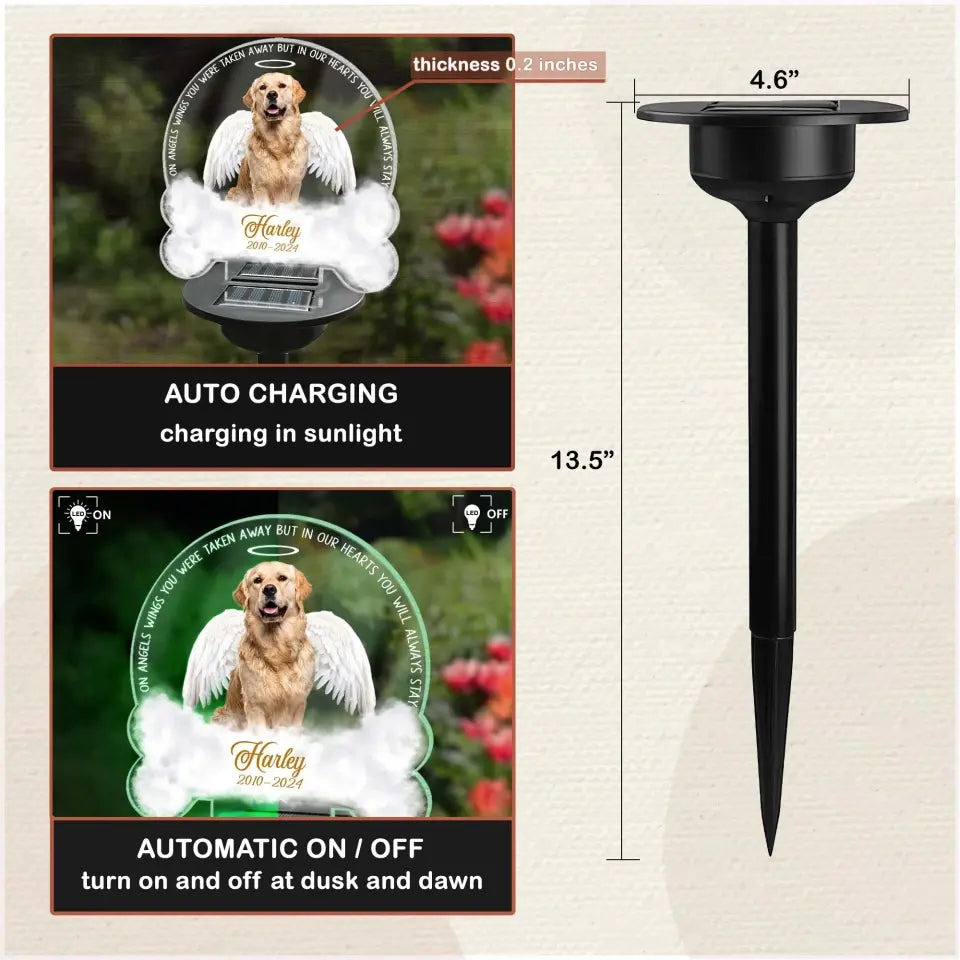 One Angels Wings You Were Taken Away - Personalized Solar Light, Gift For Dog Lover - CF-SL166