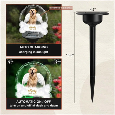 One Angels Wings You Were Taken Away - Personalized Solar Light, Gift For Dog Lover - CF-SL166