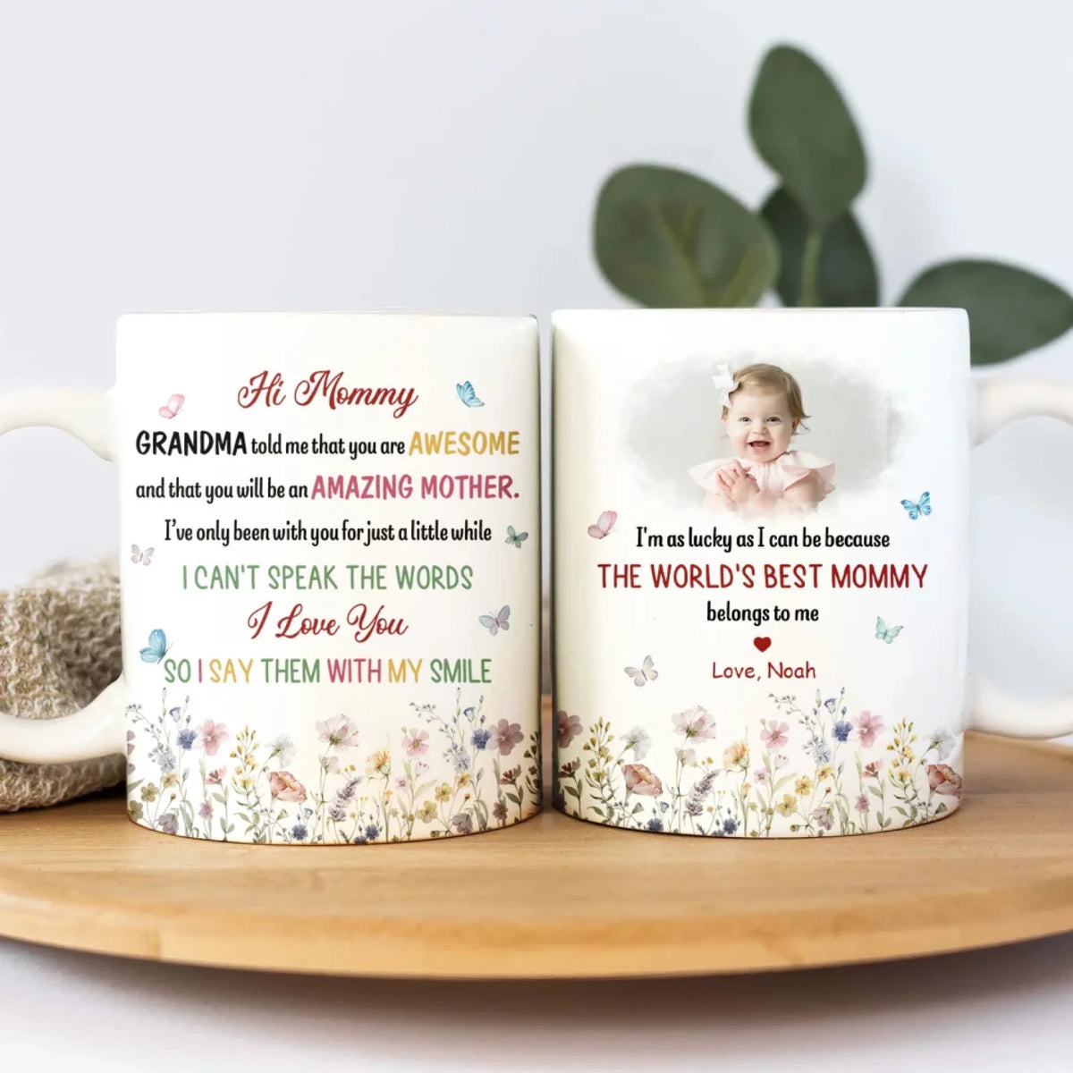 The World's Best Mommy Belongs To Me mk1