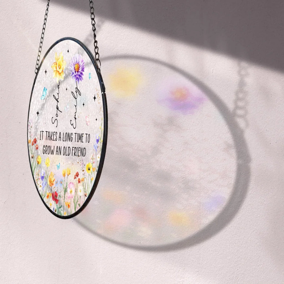 It Takes A Long Time To Grow An Old Friend mk1