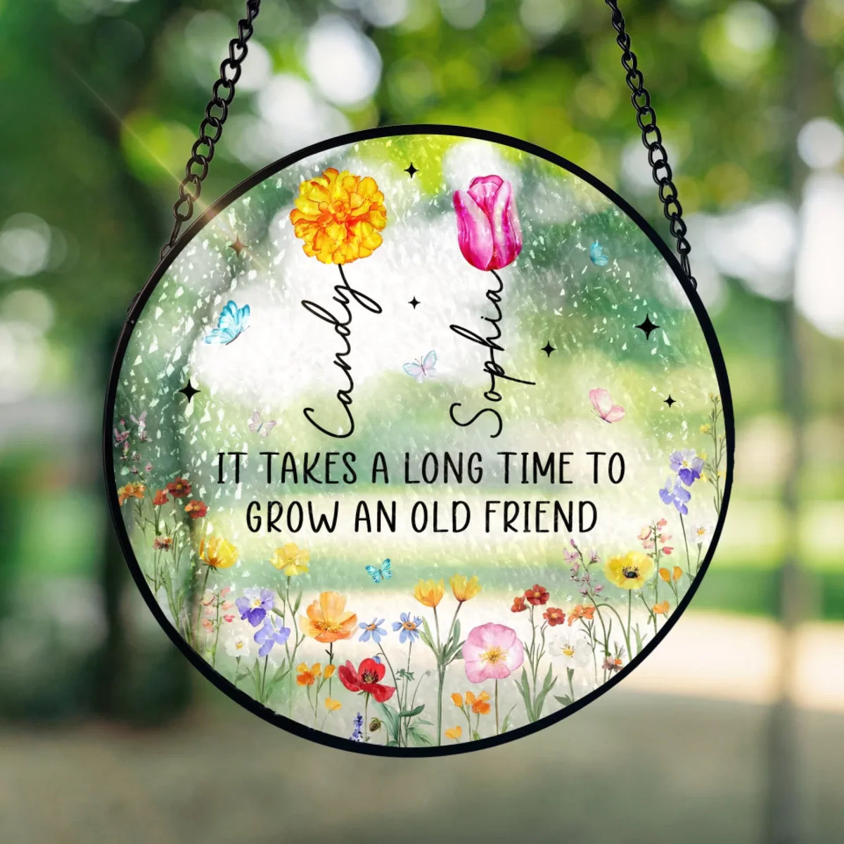 It Takes A Long Time To Grow An Old Friend mk4