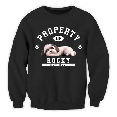 Custom Funny Dog Property - Personalized T-Shirt, Gift for Dog Owner, Dog Mom/Dog Dad Gift
