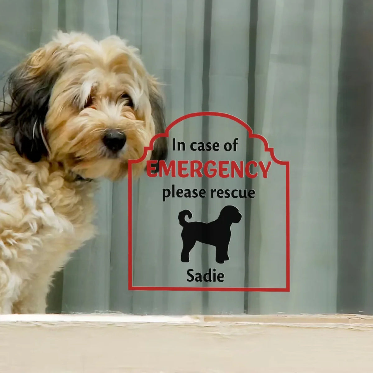 In Case of Emergency Pet Inside Rescue mk1